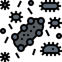 Purificadores de contra Hongos